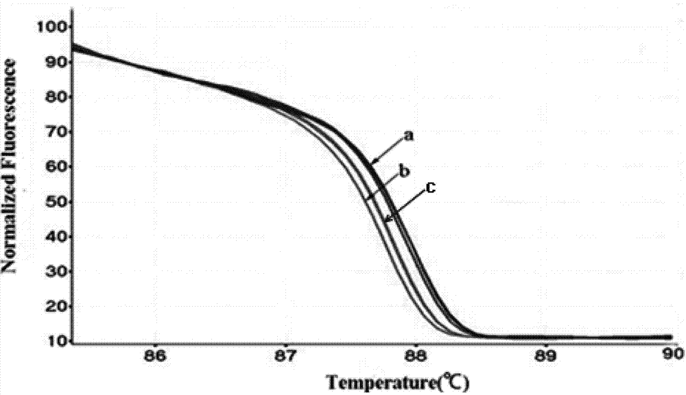 Method for detecting FOXH1 gene SNP locus rs750472 genotype