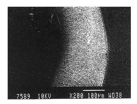 Cellulose compound hollow fiber membrane