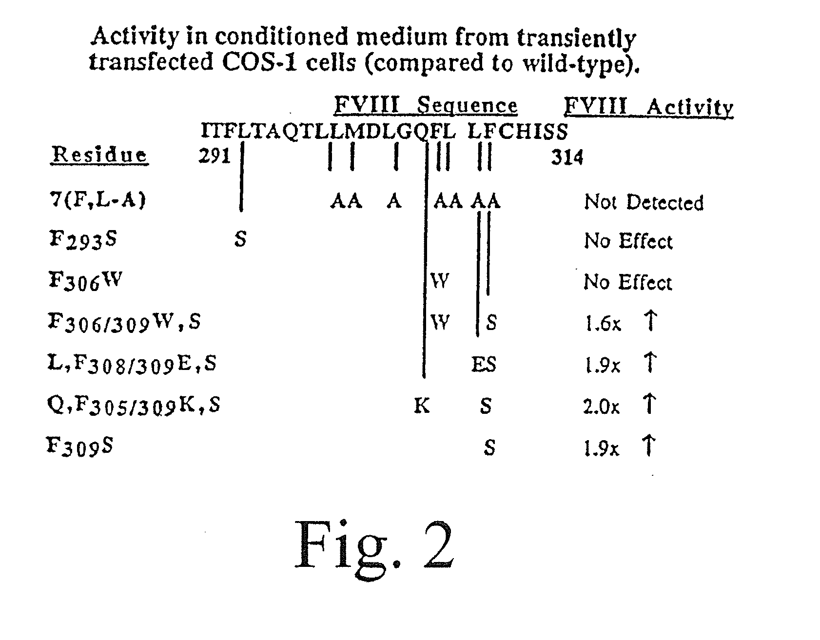 Method of producing factor viii proteins by recombinant methods