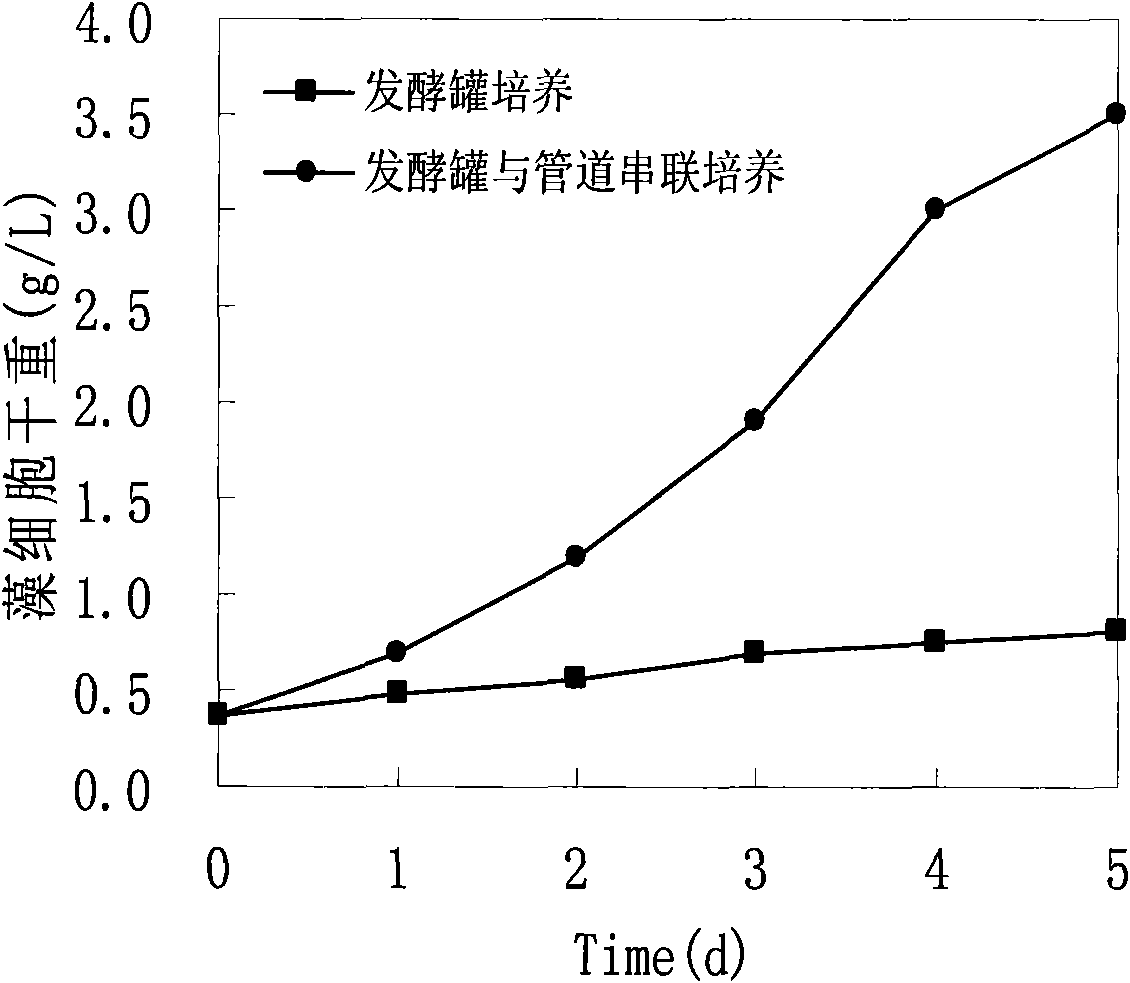 Method for culturing microalgae by illumination way and reactor thereof