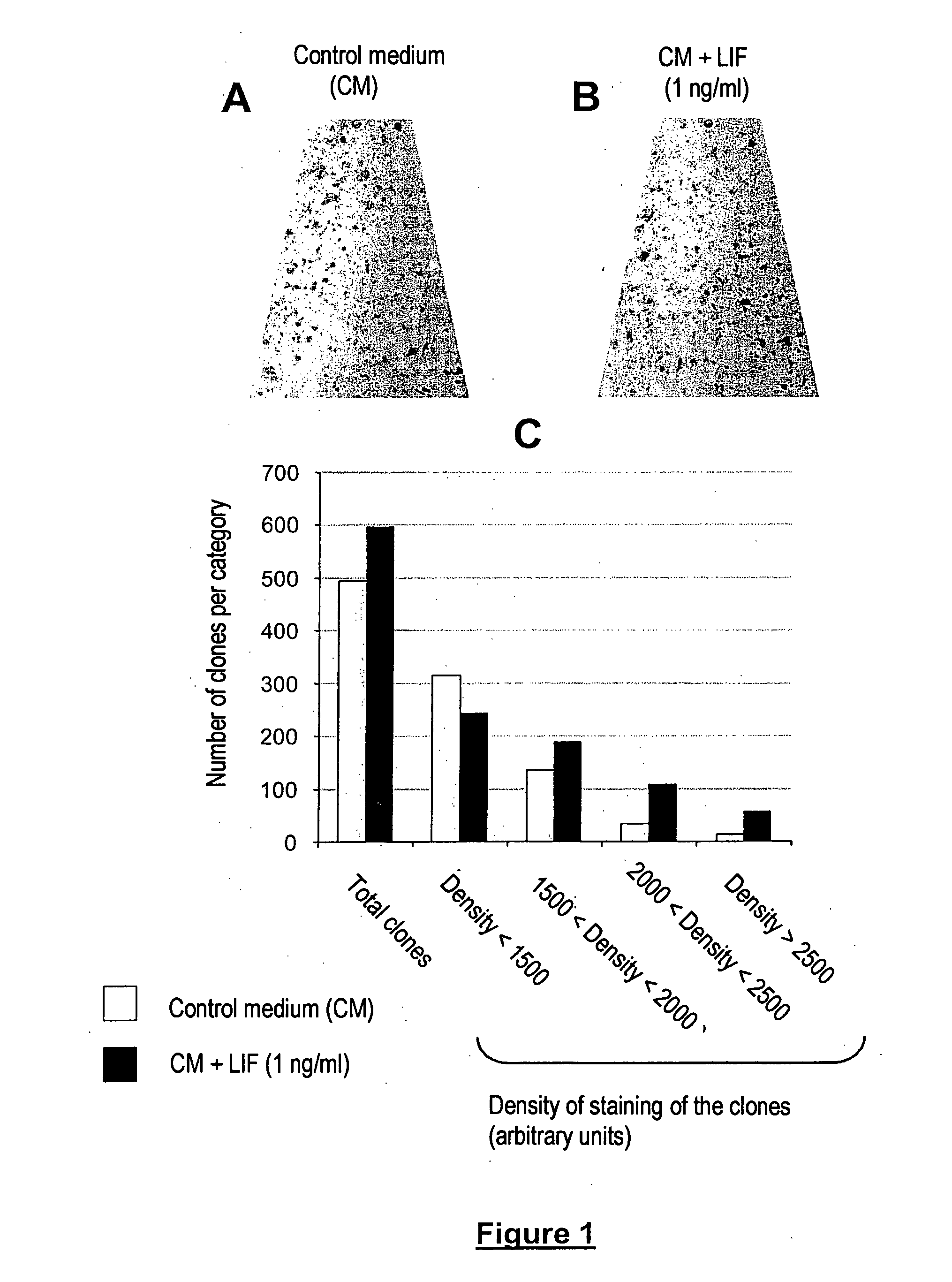 Cell and tissue engineering utilizing LIF