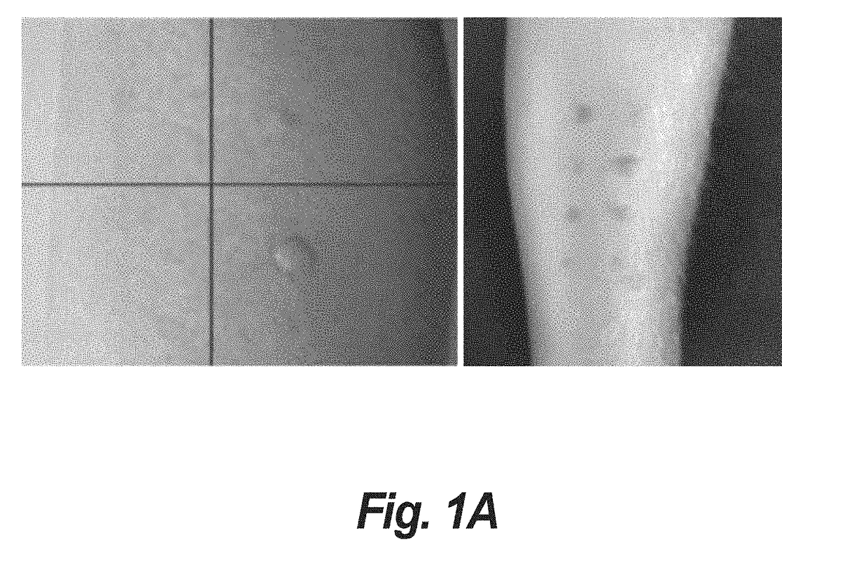 Multimodal fusion for object detection