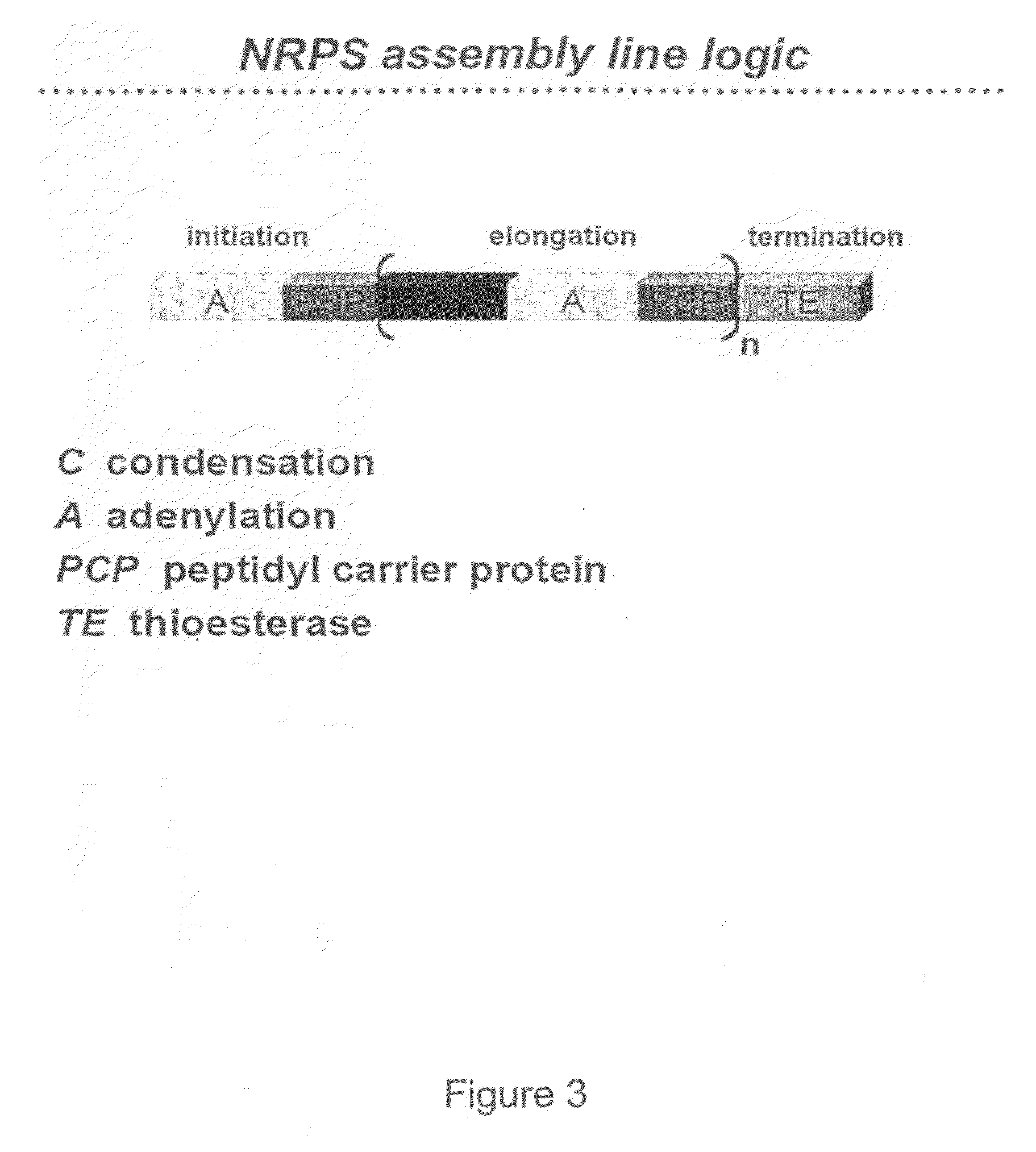 Methods of Producing Modified Assembly Lines and Related Compositions