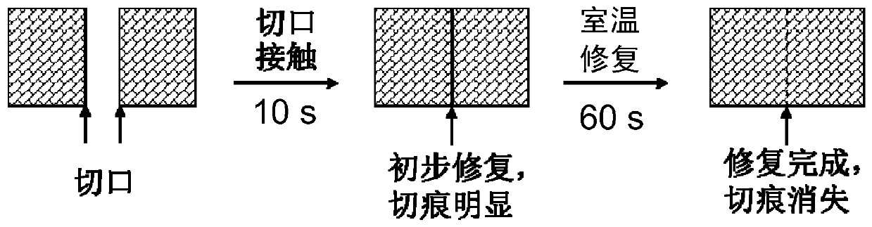 Rapid self-repairing materials and application thereof