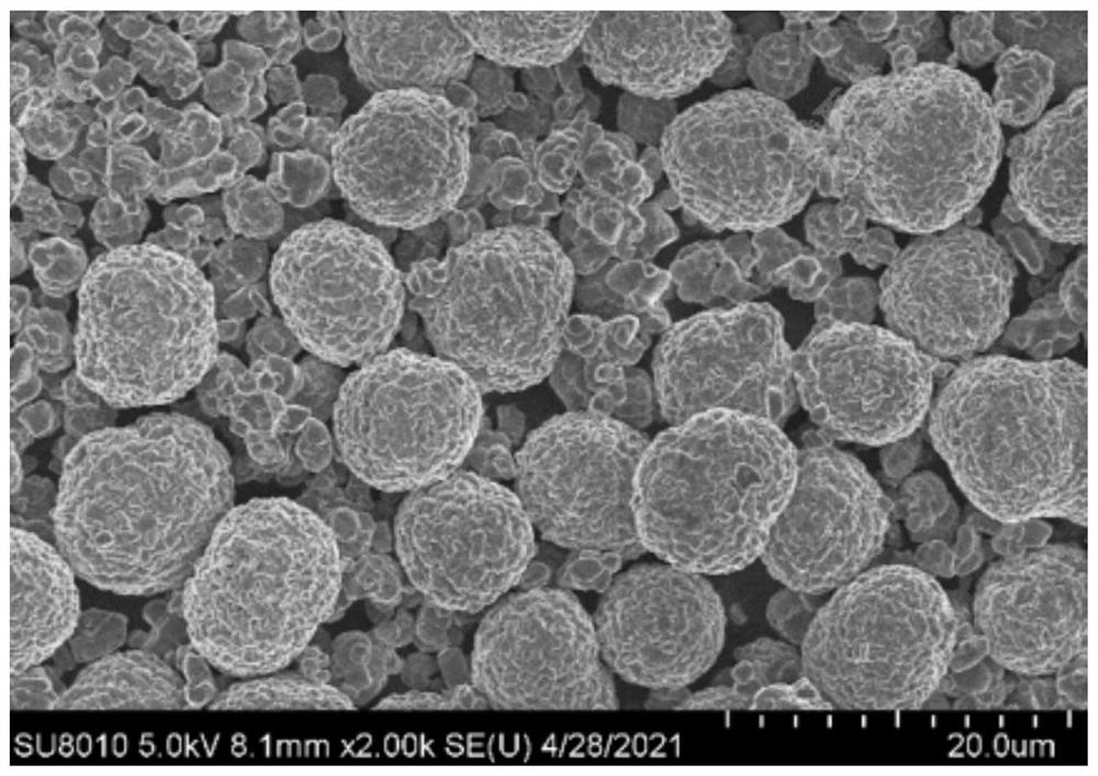 High-compaction and high-energy-density ultrahigh-nickel ternary positive electrode material