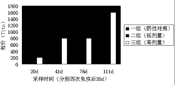 Tilapia streptococcus agalactiae IgM antibody capture ELISA detection kit