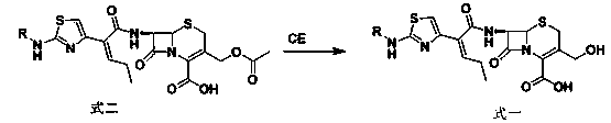 Method for preparing beta-lactam derivative through enzymatic reaction