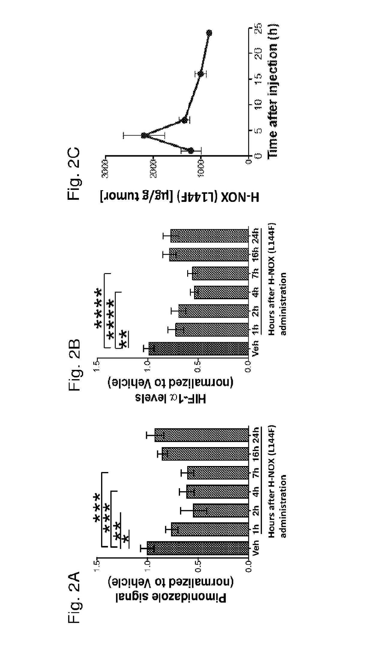 Modulation of tumor immunity by protein-mediated 02 delivery