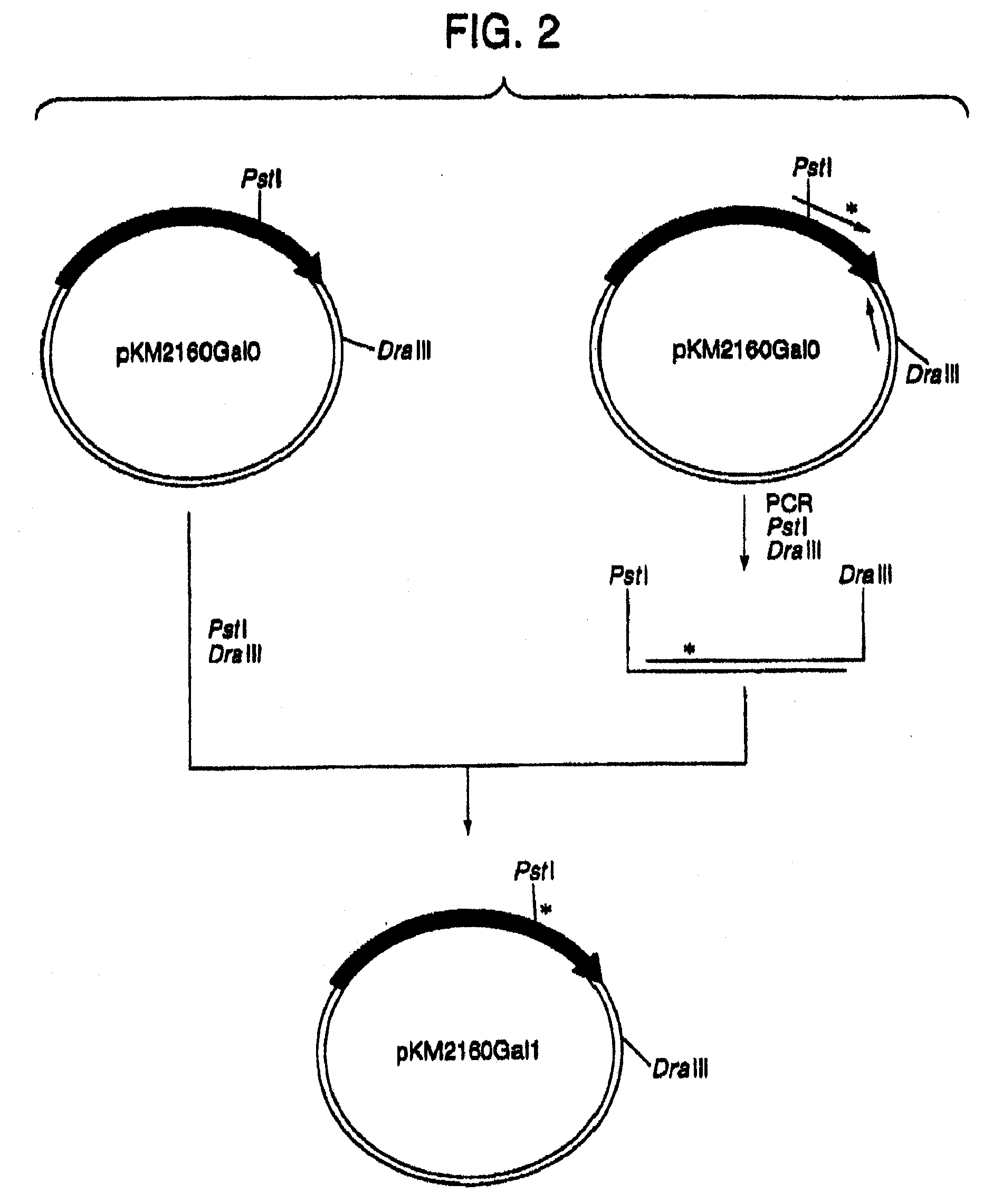 Human CDR-Grafted Antibody and Antibody Fragment Thereof