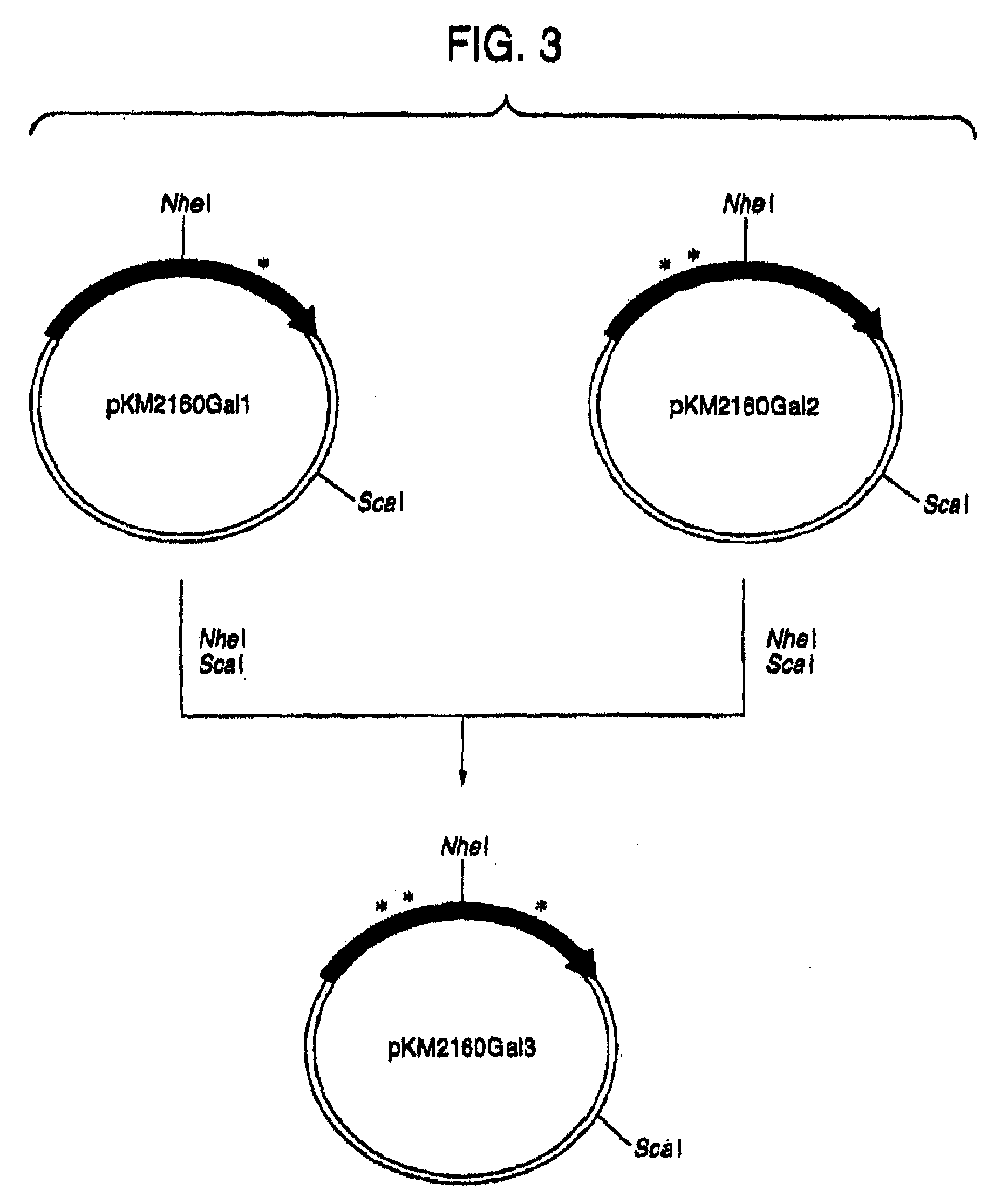 Human CDR-Grafted Antibody and Antibody Fragment Thereof