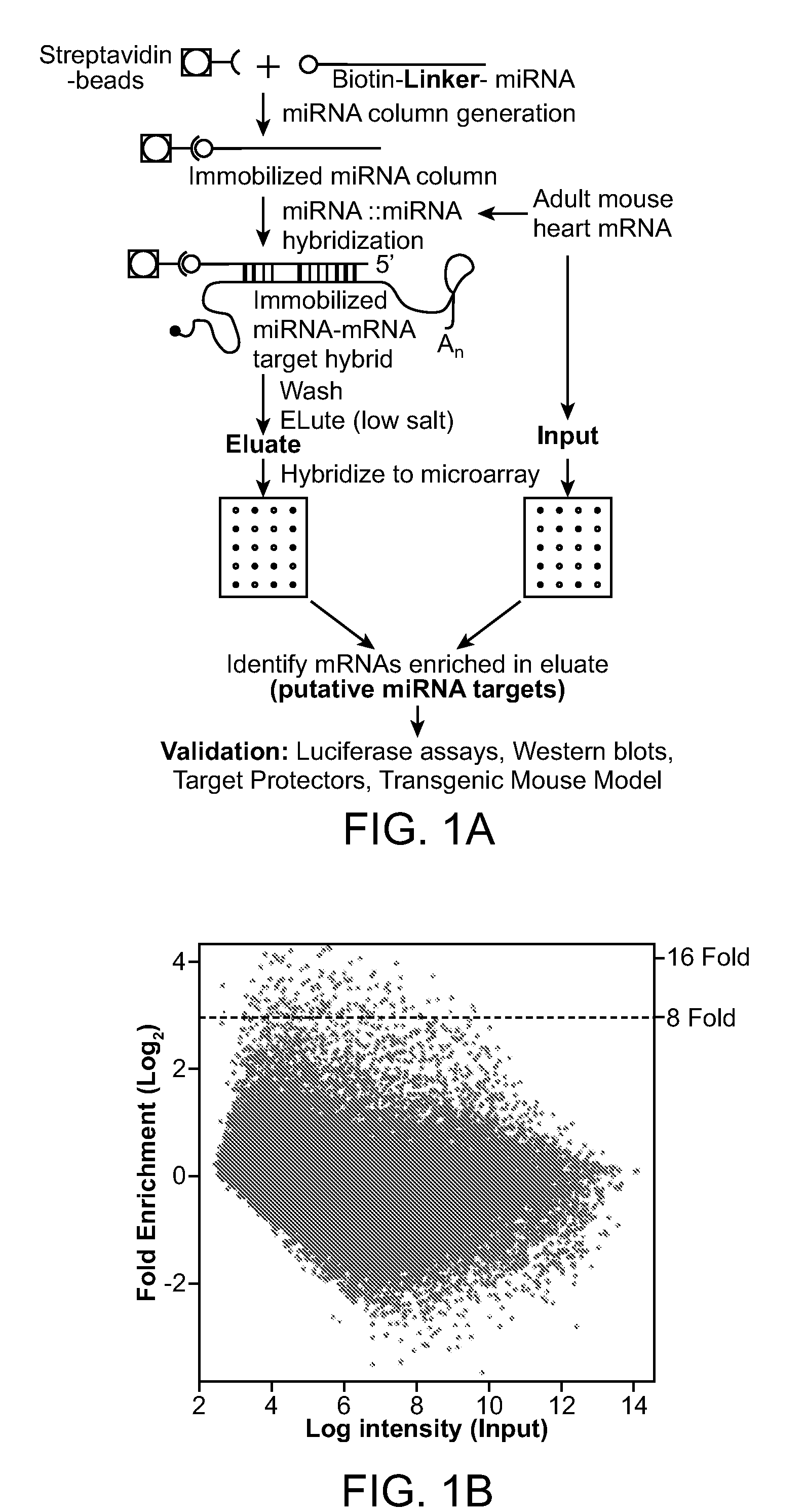 Method of identifying micro-rna targets