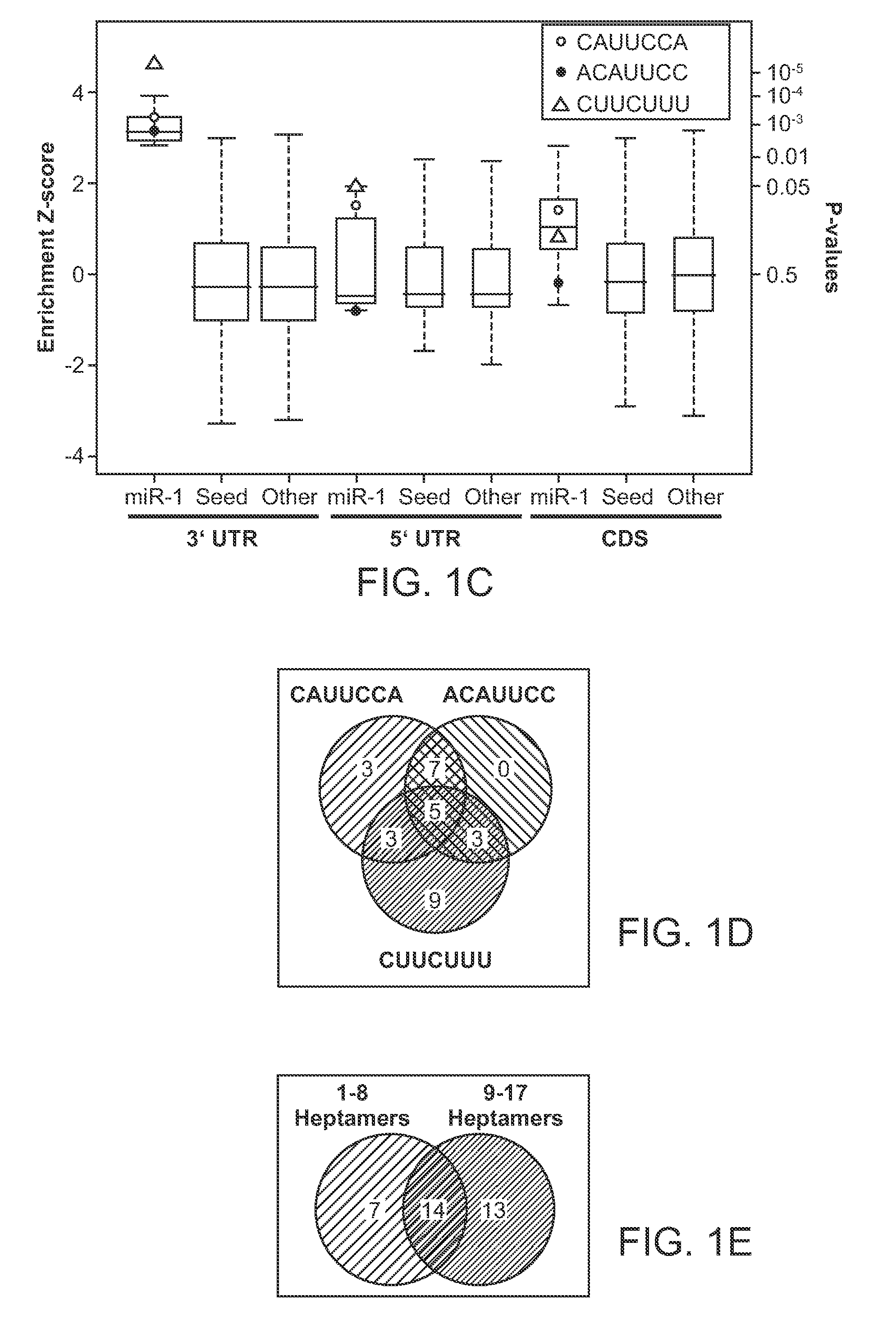 Method of identifying micro-rna targets