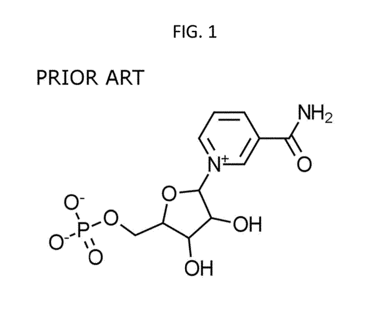 Administration of nicotinamide mononucleotide in the treatment of disease