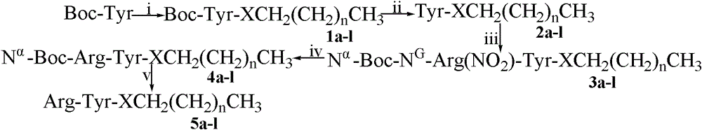 Arg-Tyr modified aliphatic amine/ alcohol derivatives and preparation method and application thereof