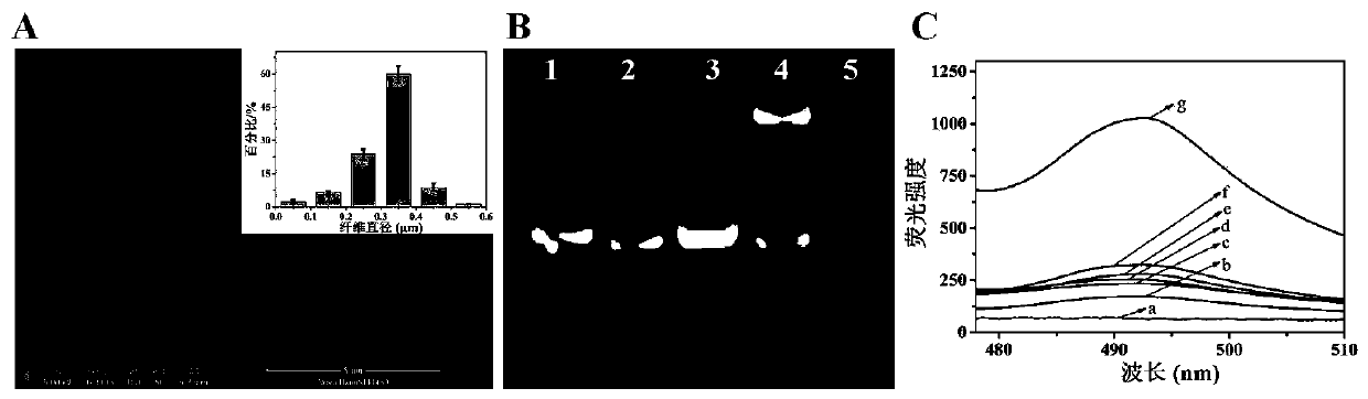 One-step fluorescence detection system and thrombin detection method