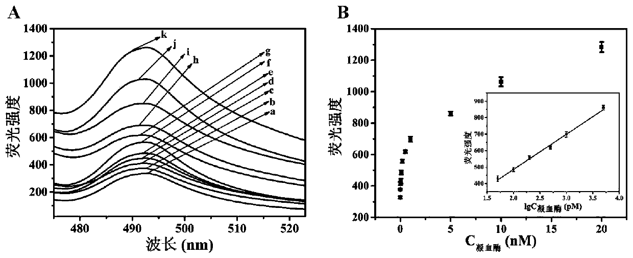 One-step fluorescence detection system and thrombin detection method