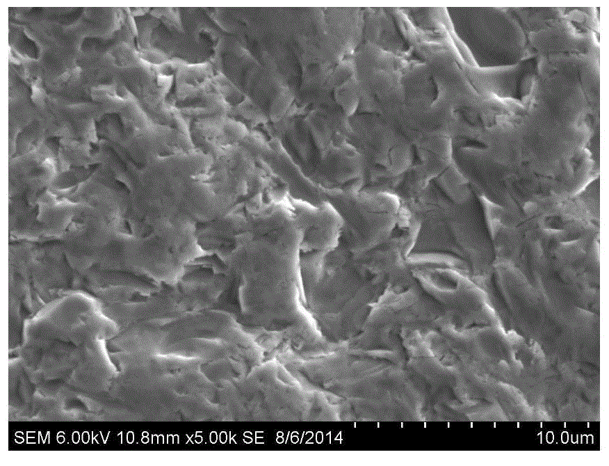 Texturing preprocessing method of diamond wire cut polycrystalline silicon chip, textured preprocessed silicon chip and application thereof