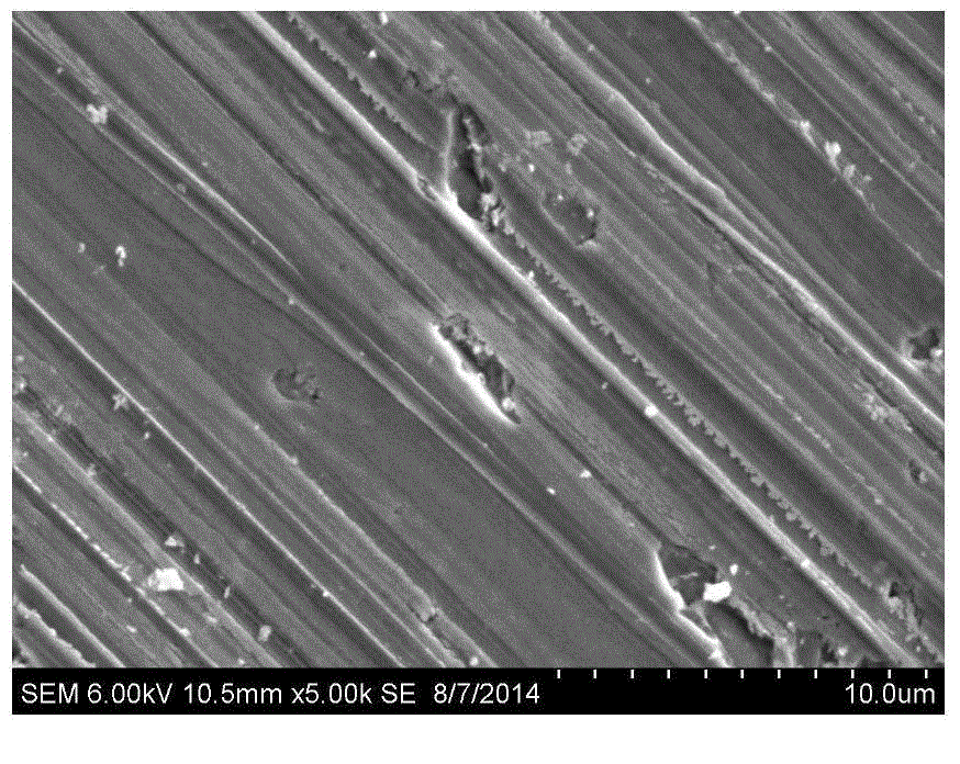 Texturing preprocessing method of diamond wire cut polycrystalline silicon chip, textured preprocessed silicon chip and application thereof