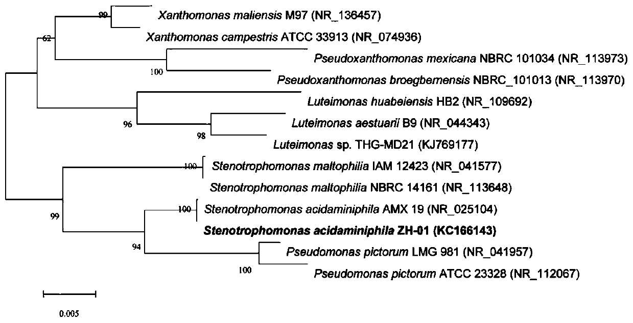 Degradation strain of pyrethroid insecticide and application thereof