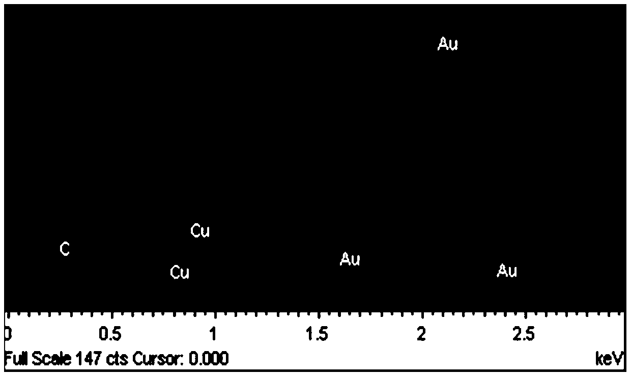 Method for simultaneously preparing porous gold nano particles and hexagonal gold nano sheets