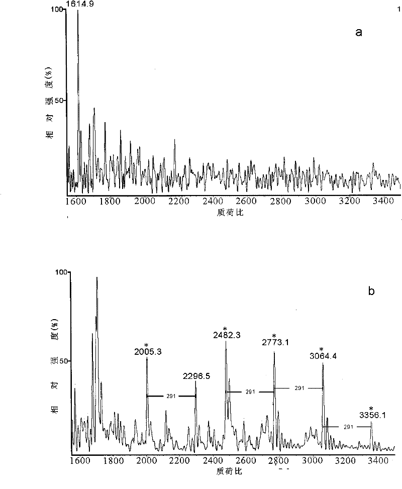 A kind of glycopeptide enrichment separation material and its application