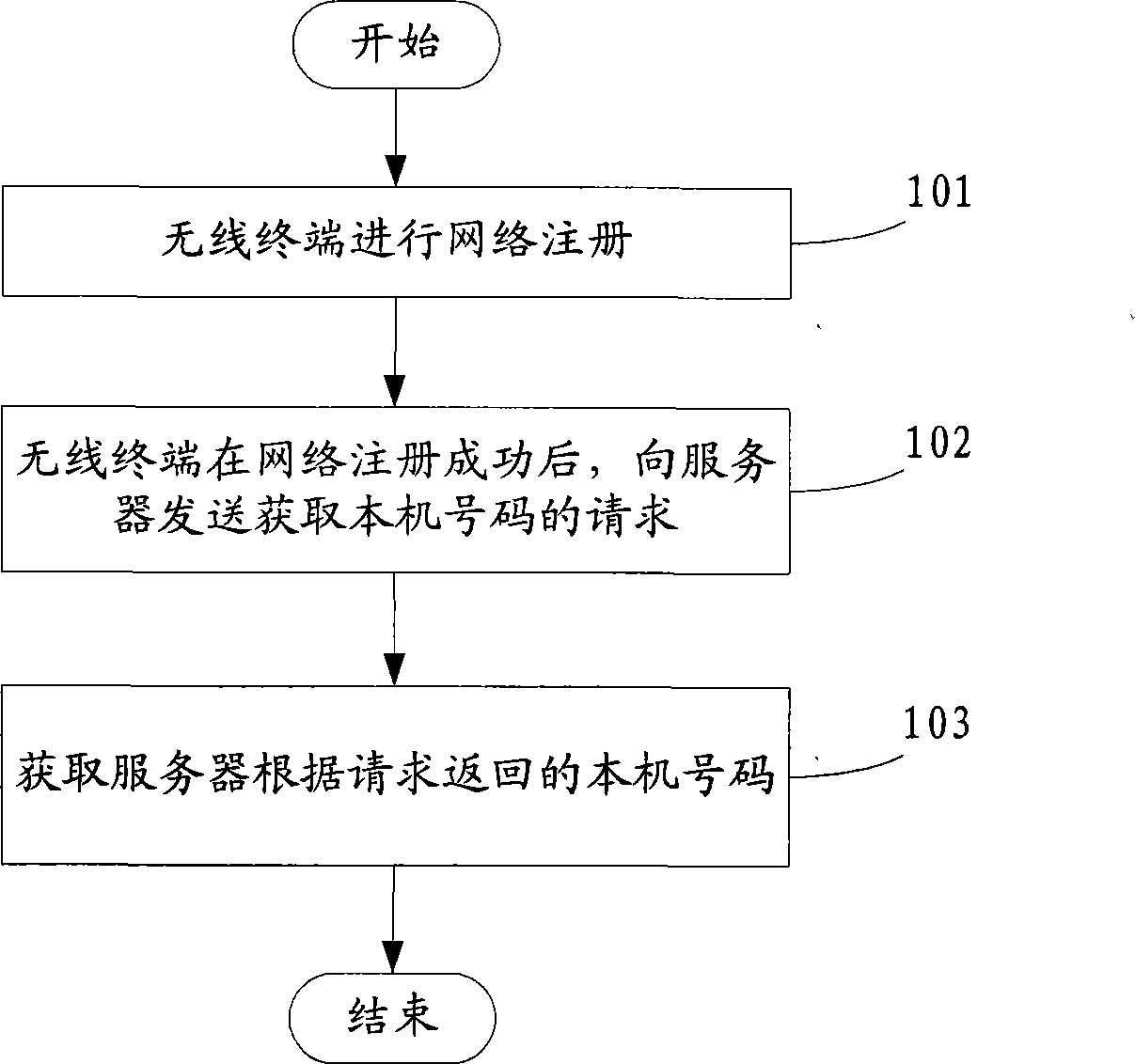 Method, system, wireless terminal and server for obtaining loCal number