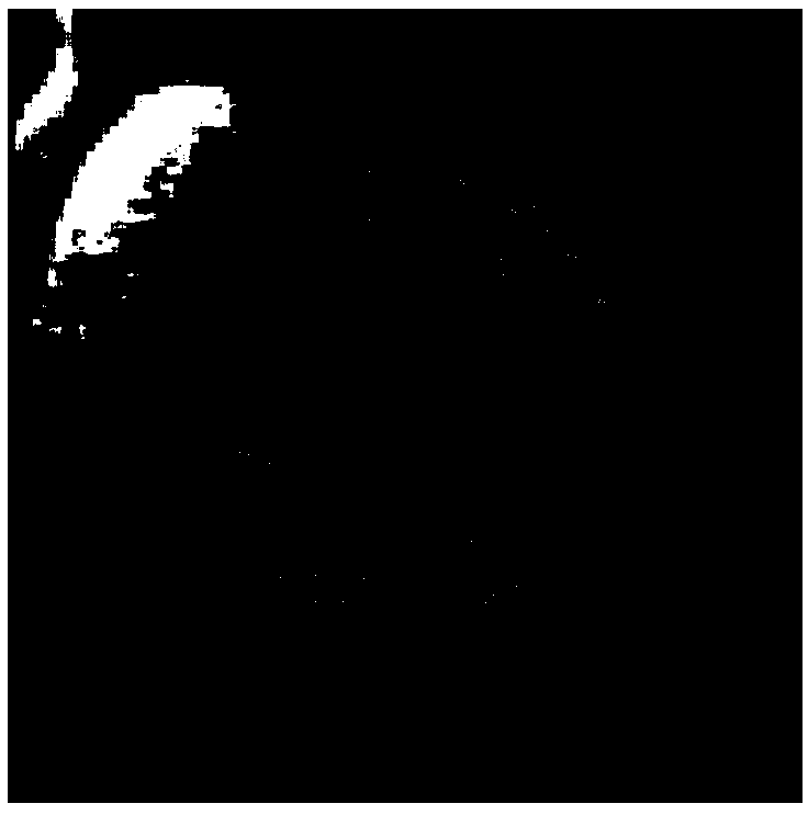 Cardiac motion representation method and device and computer readable storage medium