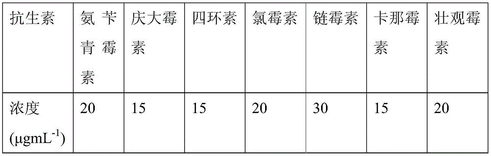 Lactobacillus plantarum CZ401 strain capable of producing exopolysaccharides and beta-galactosidase and application of strain