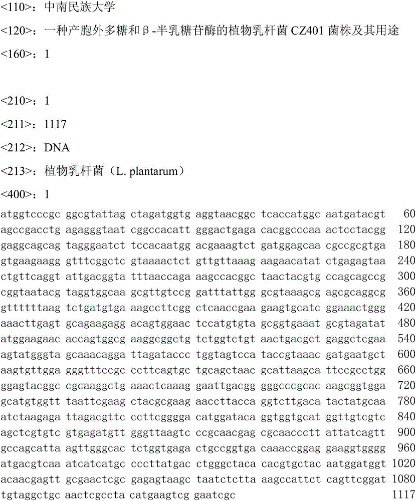 Lactobacillus plantarum CZ401 strain capable of producing exopolysaccharides and beta-galactosidase and application of strain