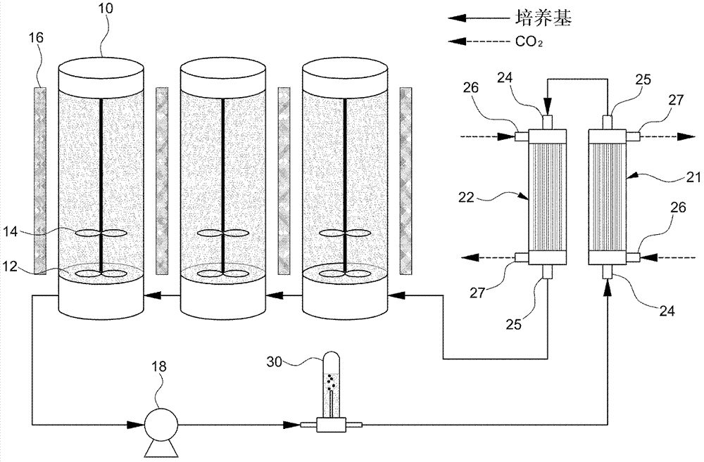 Photobioreactor for culturing microalgae using hollow fiber membrane