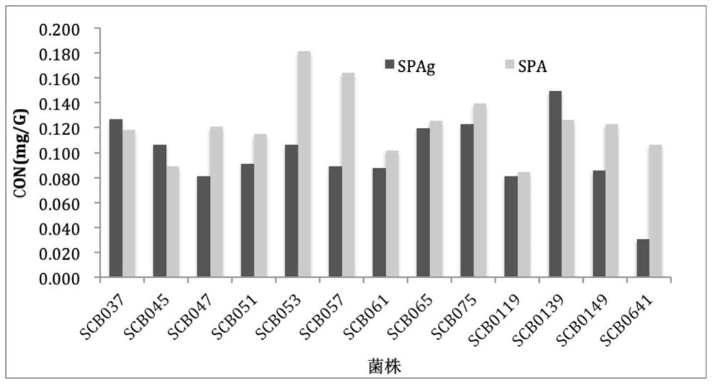 Soybean Yogurt Adaptable Strain, Bacterial Agent and Its Application