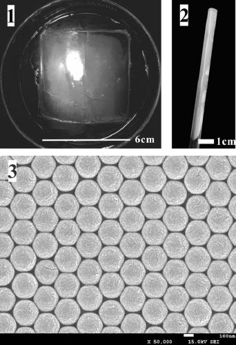 Method for assembling periodic nanostructure on plane or curved surface by utilizing soft matter interface