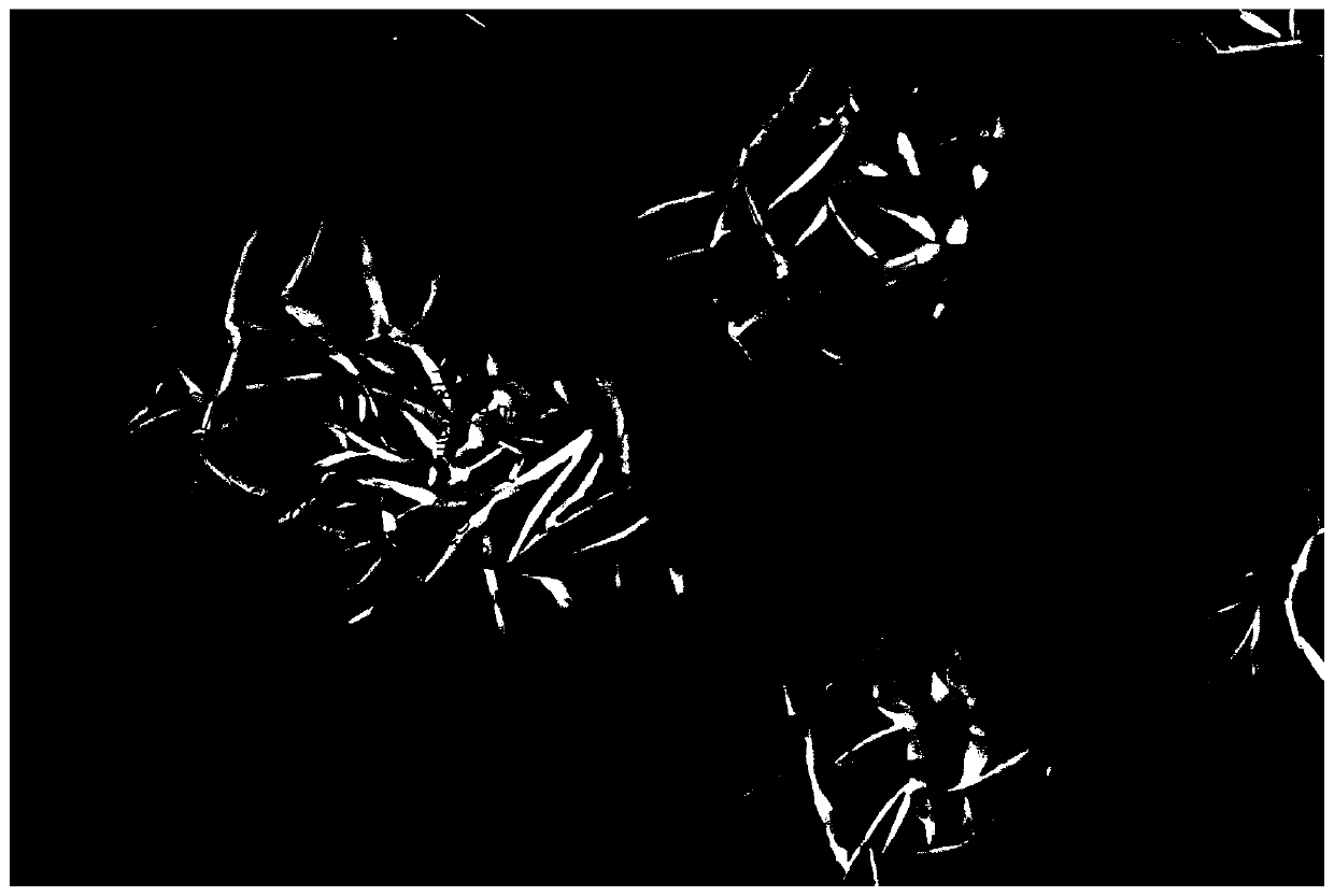 A high-voltage nickel-cobalt lithium manganese oxide precursor and its preparation method and high-voltage nickel-cobalt lithium manganese oxide positive electrode material