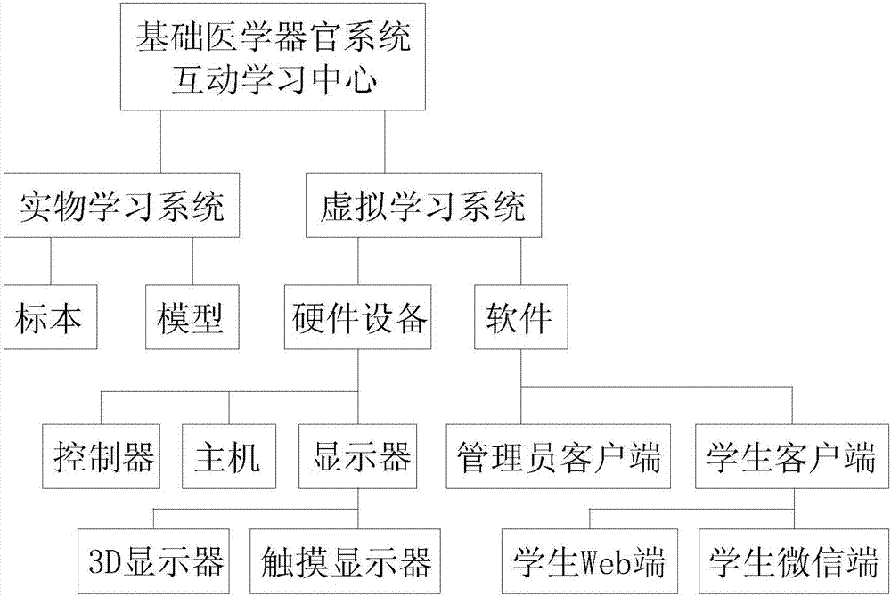 Basic medicine organ system interaction learning center and application thereof