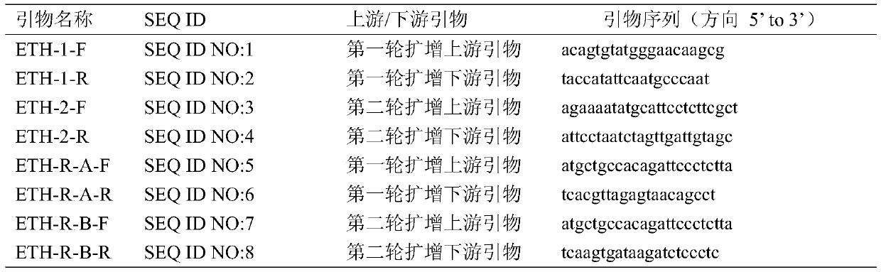 Bactrocera dorsalis eth gene and its ligand, receptor and its application in fruit fly specific control agent