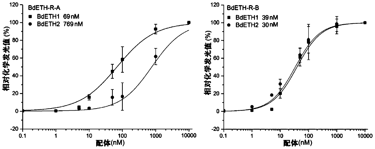 Bactrocera dorsalis eth gene and its ligand, receptor and its application in fruit fly specific control agent