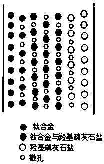 Preparation method for titanium alloy-hydroxyapatite salt biological ceramic porous material