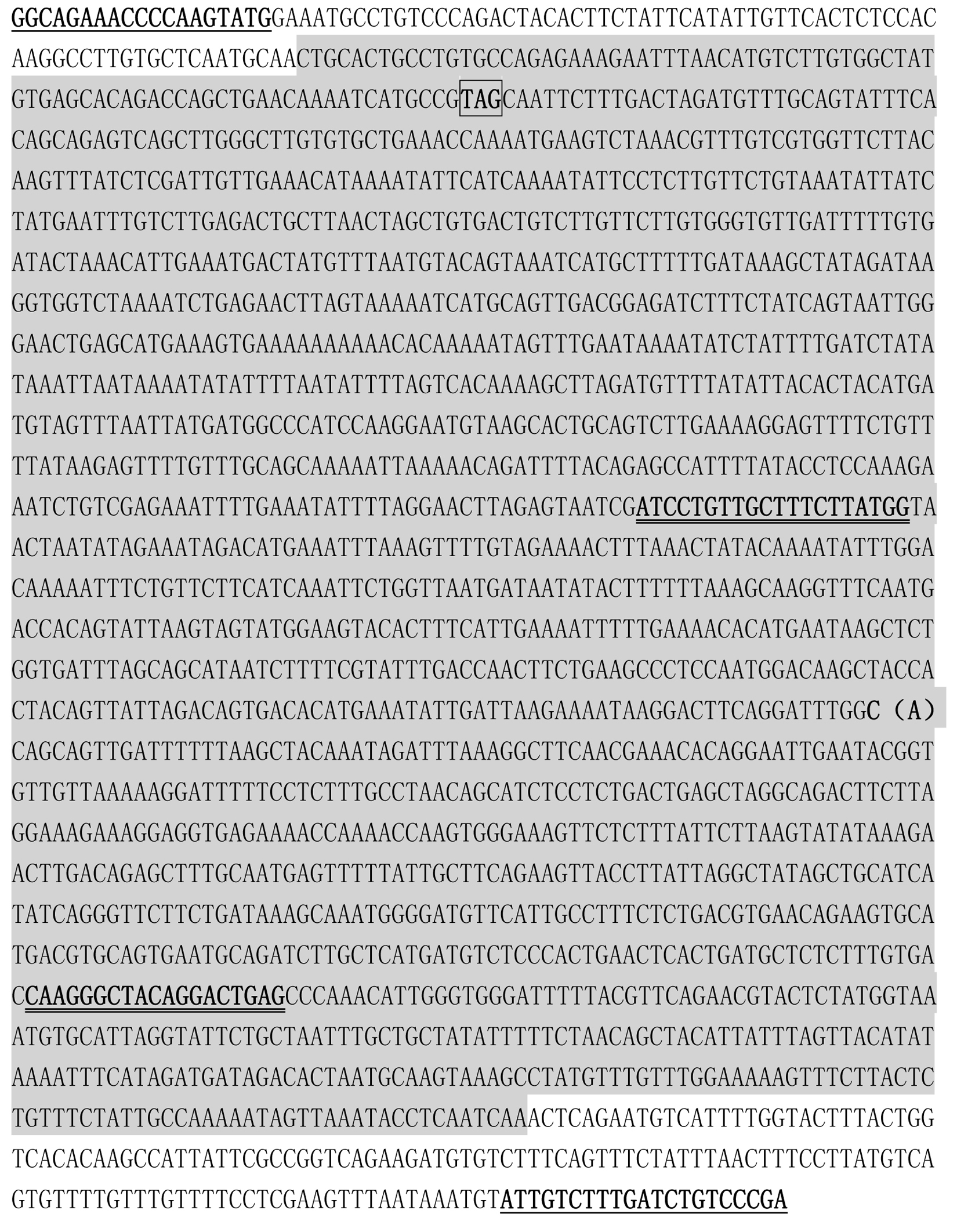 Method for detecting gene mutation