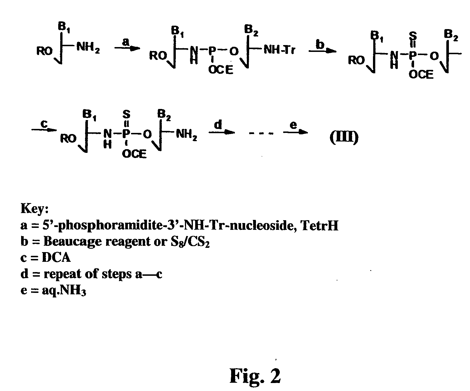 Oligonucleotide N3'-P5' thiophosphoramidates: their synthesis and use