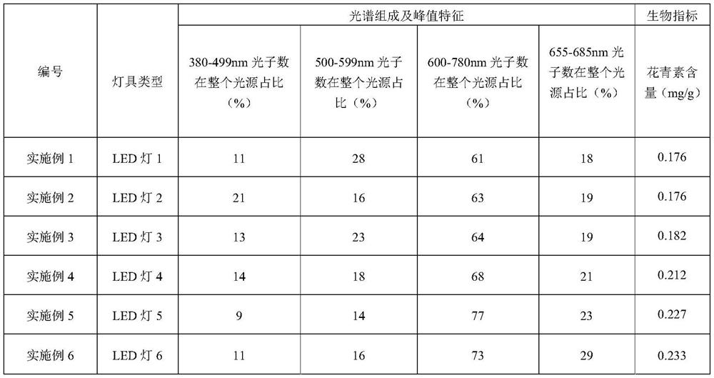 Method for promoting anthocyanin content accumulation of flowers in plant factory