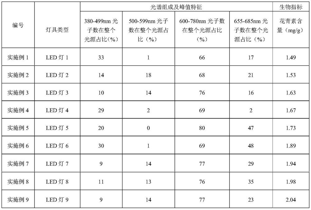 Method for promoting anthocyanin content accumulation of flowers in plant factory