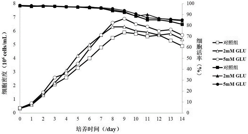 Optimized cell culture medium and cell culture method, and application of optimized cell culture medium and cell culture method to preparation of protein and antibody