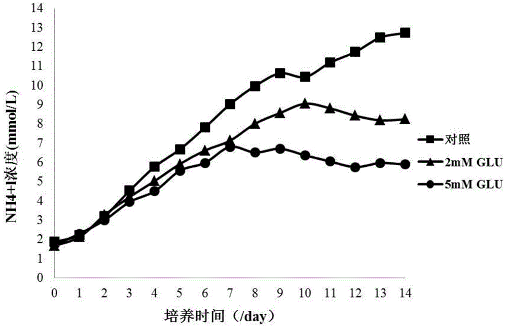 Optimized cell culture medium and cell culture method, and application of optimized cell culture medium and cell culture method to preparation of protein and antibody