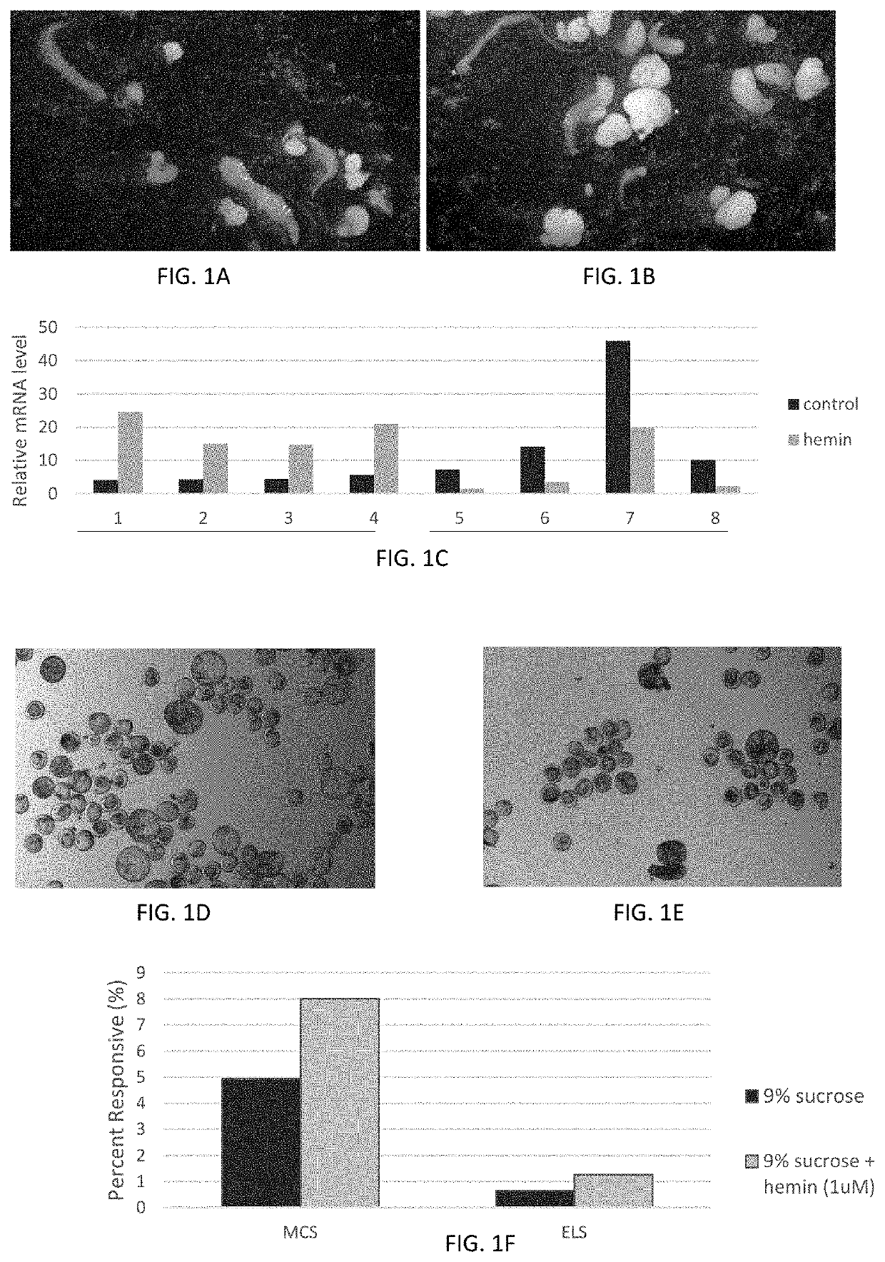 Systems and methods for cellular reprogramming of a plant cell