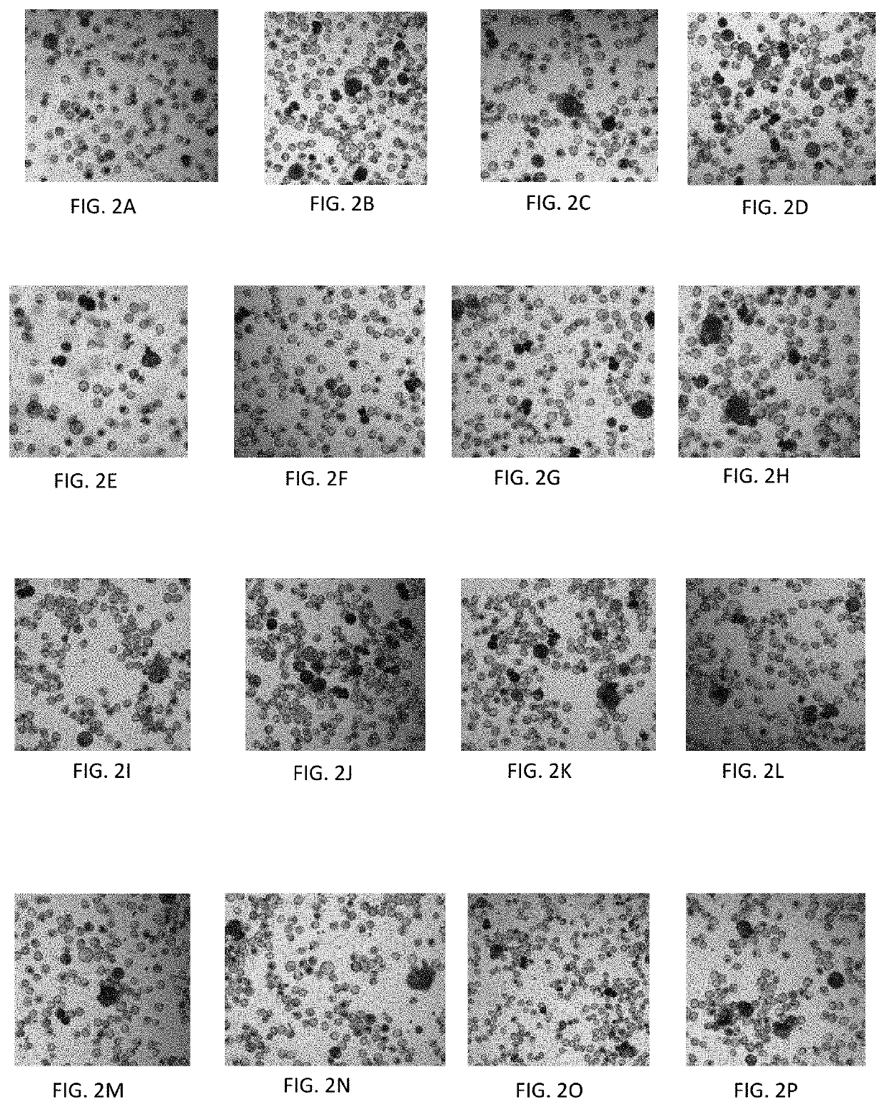 Systems and methods for cellular reprogramming of a plant cell