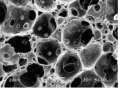 Gelatin/polyvinyl alcohol composite sponge and preparation method thereof