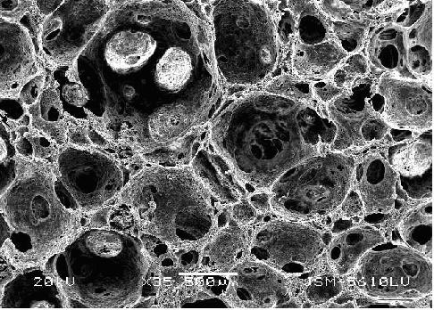 Gelatin/polyvinyl alcohol composite sponge and preparation method thereof