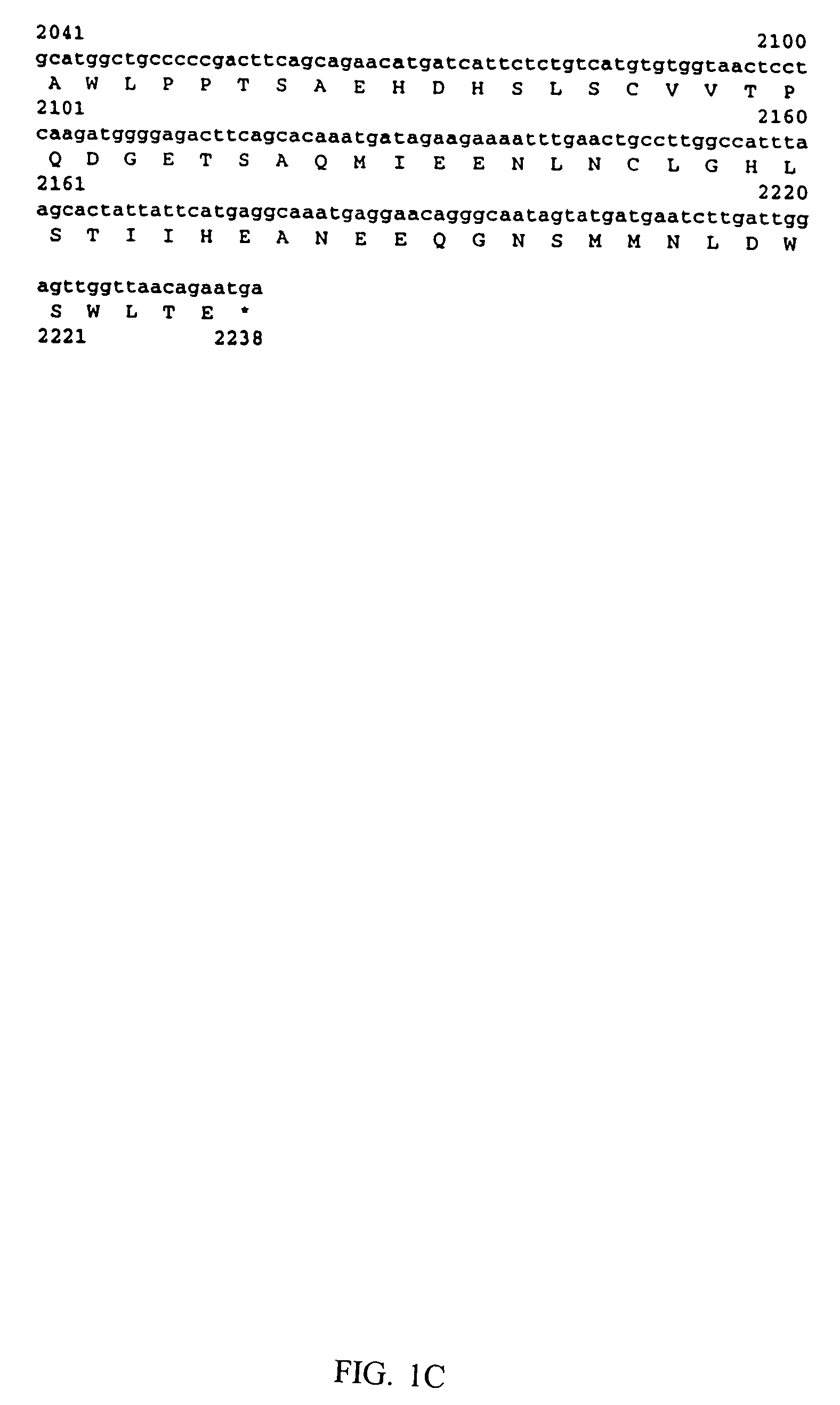 IkappaB Kinase-beta (IKKbeta) binding antibodies and methods of using same