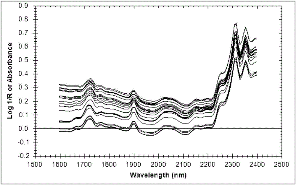 Rapid prediction method for stable stage of stacked biradical propellant powder