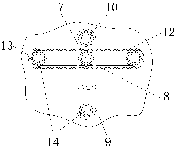 An expanded anti-dumping and labor-saving travel trolley case